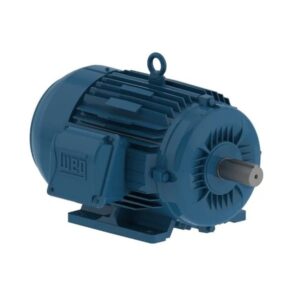 Motor Elétrico Weg 10 Cv 4 Pol 132s- 220/380/440v